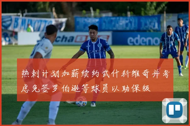 热刺计划加薪续约武什科维奇并考虑免签罗伯逊等球员以助保级